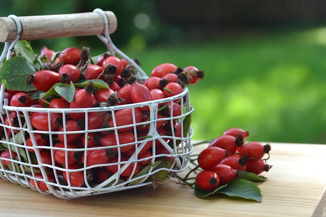 rose hips in a basket