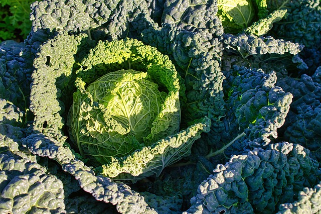 cruciferous vegetables 2